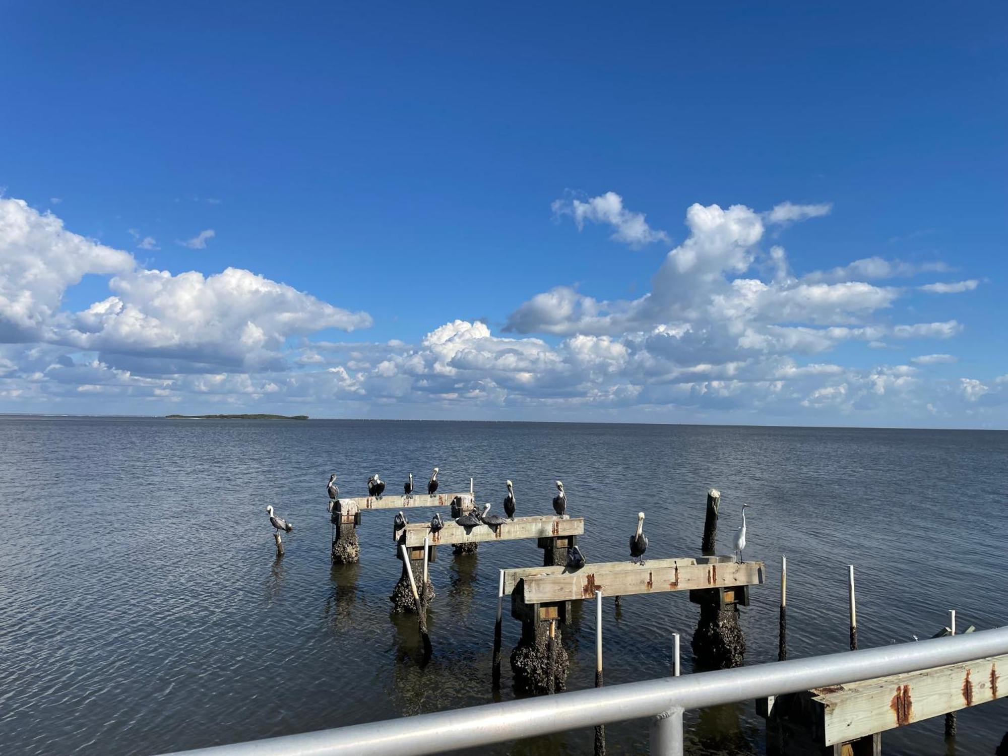 Cedar Key Florida Condo At Park Place Екстер'єр фото